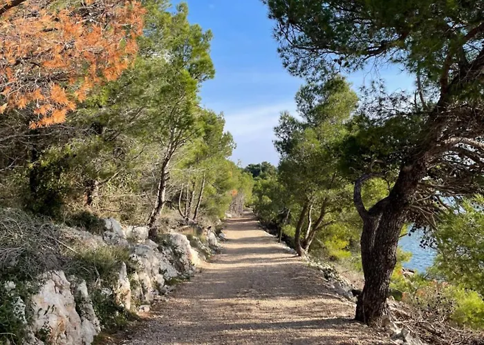 Apartament Leonardo *